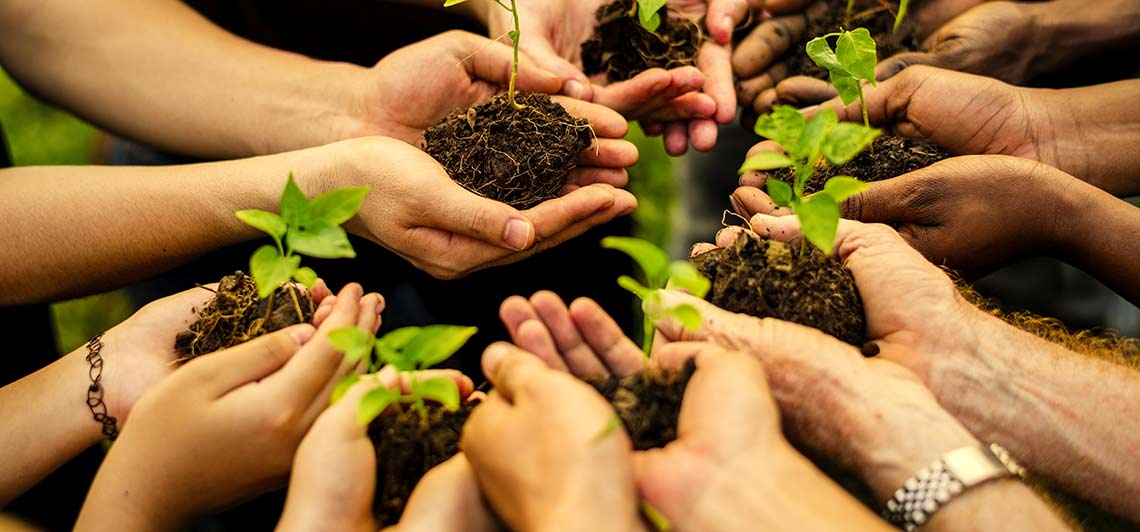 planting-tree-and-save-environment-female-candidate