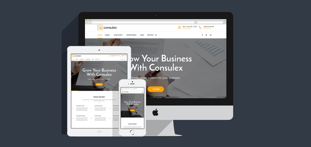 Finance and Consulting business WordPress Theme