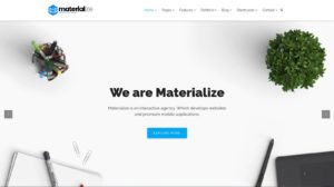 Business WordPress Theme